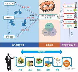 大數(shù)據(jù)與區(qū)塊鏈技術(shù) 構(gòu)筑食品安全新防線